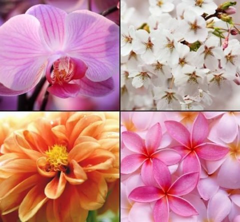 Tesori d'Oriente Chinese Orchid Mydło 125 g