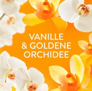 Lenor Goldene Orchidee Płyn do Płukania 59 prań Procter & Gamble