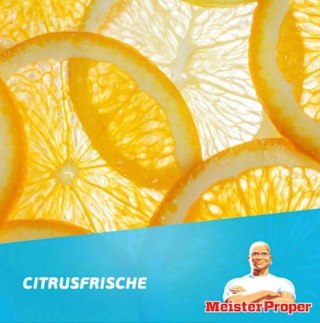 Meister Proper Citrus Uniwersalny Spray Czyszczący 800 ml Procter & Gamble