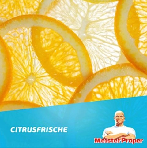Meister Proper Citrus Uniwersalny Spray Czyszczący 800 ml Procter & Gamble Meister Proper Citrus Uniwersalny Spray Czyszczący 800 ml Procter & Gamble