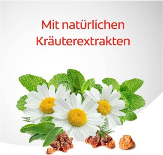 Colgate Dentagard Ziołowa Pasta do Zębów 75 ml CP GABA GmbH